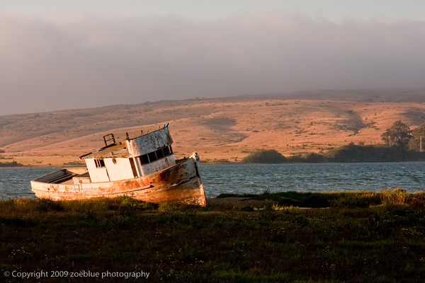 Tomales Bay